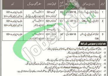 WAPDA Jobs