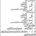 Career Opportunities in Punjab Police Department for Constable and Driver