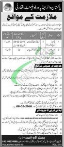 WAPDA Jobs