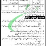 WAPDA Jobs