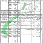 Fisheries Department Punjab Jobs