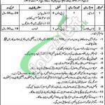 Punjab Highway Department Jobs