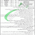 WAPDA Jobs