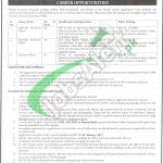 Punjab Economic Research Institute Lahore Jobs