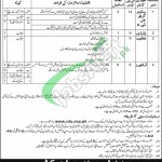 WAPDA Jobs