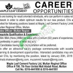 Maple Leaf Cement Jobs