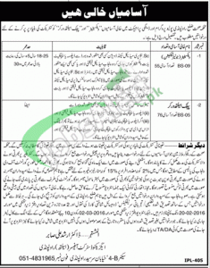 Health Department Rawalpindi Jobs