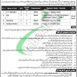 WAPDA Hospital Jobs