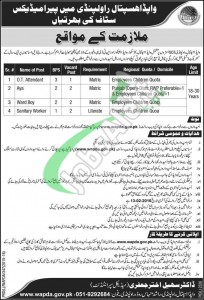 WAPDA Hospital Jobs