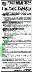 Career Opportunities in Cadet Colleg Petaro Jamshoro Sindh 2016