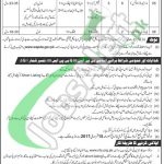 WAPDA Hospital Faisalabad Jobs