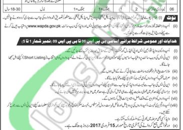 WAPDA Hospital Faisalabad Jobs