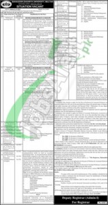 Career Opportunities in Baha -ud- Din Zakariya University for Professor & Assistant Professor 2016