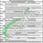 Recruitment Offer in Public Sector Organization for Monitoring &Evaluation, Driver