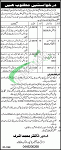 Livestock & Dairy Development Okara Jobs