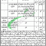 Lady Aitchison Hospital Lahore Jobs