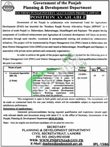 Planning & Development Department Lahore Jobs