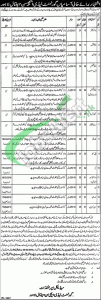 Lady Aitchison Hospital Lahore Jobs