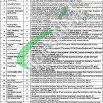 Sports Board Punjab Jobs