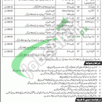 WAPDA Jobs