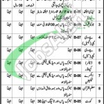 Jail Department Balochistan Jobs