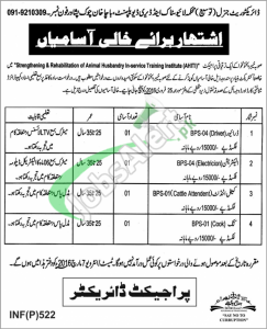 Livestock and Dairy Development KPK Jobs