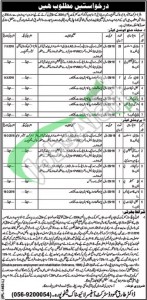 Jobs in Livestock Department Punjab