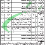 Jobs in Livestock Department Punjab