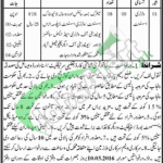 Livestock Department Rahim Yar Khan Jobs