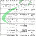 Health Department Bhakkar Jobs