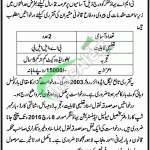 Tehsil Municipal Administration Bahawalnagar Jobs