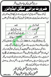 Tehsil Municipal Administration Bahawalnagar Jobs