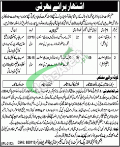 Livestock Department Punjab Jobs