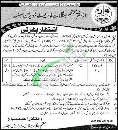 Forest Guard Jobs