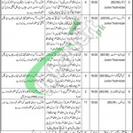 Health Department Kasur Jobs