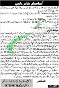 Livestock & Dairy Development Vehari Jobs