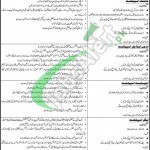 Thar Coal & Energy Board Sindh Jobs