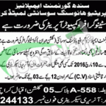 Sindh Government Employees Cooperative Housing Society Jobs