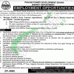 Punjab Power Development Board Jobs