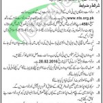 WAPDA Jobs