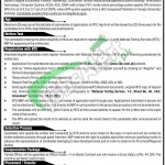 NBP Jobs