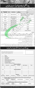 WAPDA Jobs