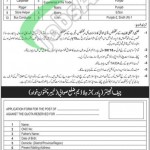 WAPDA Jobs