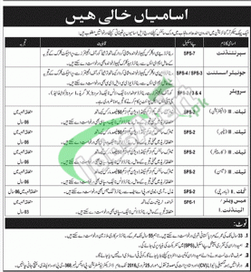 Public Sector Organization Jobs