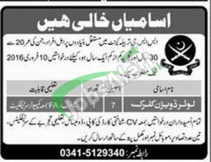 LDC Jobs