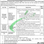 Punjab Mineral Company Jobs