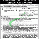 Punjab University Jobs