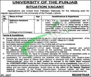 Punjab University Jobs