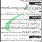 SBP Jobs