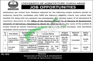 University of Agriculture Faisalabad Jobs